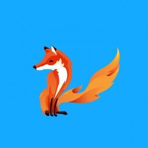 Firefox, vulnerabilità critica: disponibile l'aggiornamento