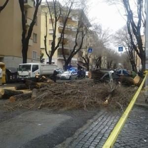 Raffiche di vento nel Lazio: cartelloni divelti, alberi a rischio e case scoperchiate in Ciociaria