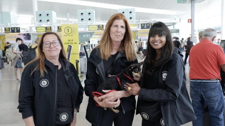 Vueling celebra la Giornata internazionale del cane