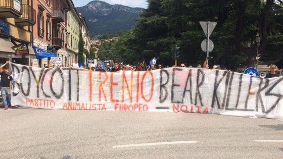Animalisti, il partito è trasversale: sigle e lobby per il 5 per cento dei voti