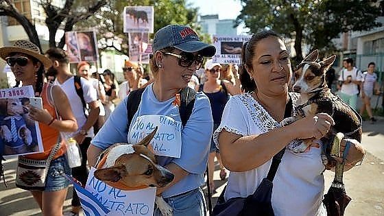Giorno storico a Cuba, il governo approva una marcia di animalisti
