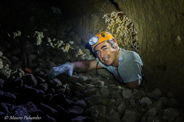 Galleria borbonica, dagli scavi spunta il dente di uno squalo