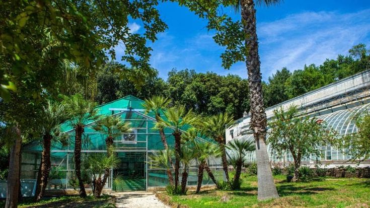 Campania, ingresso gratuito questa domenica nei musei statali
