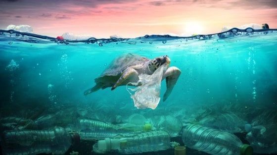 Nielsen: l’ambiente preoccupa più delle difficoltà economiche