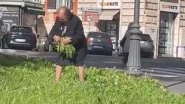 Piazza Verbano, un orto nell’aiuola incolta. “La signora è un mito, raccoglie cicoria nel traffico”