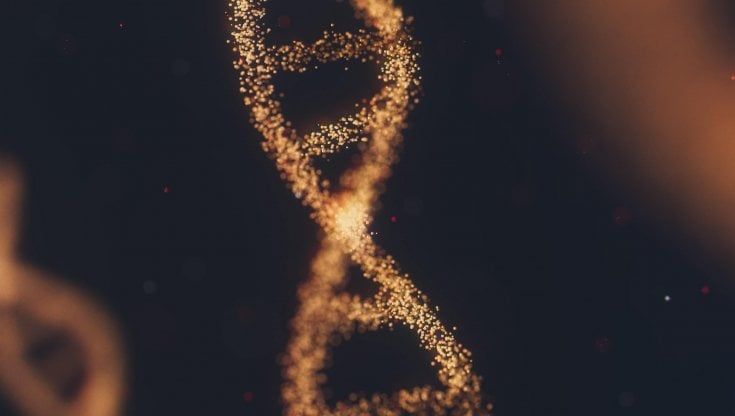 Mutazioni BRCA: di quali tumori aumentano il rischio. E di quanto