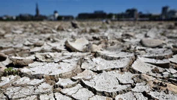 Dalla siccità agli incendi, la crisi climatica produce un effetto domino