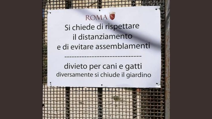 Assembramenti per principianti