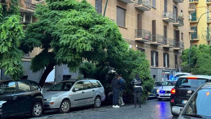 Albero si abbatte sulle auto in sosta al Vomero. E sui social corrono allarme e paura