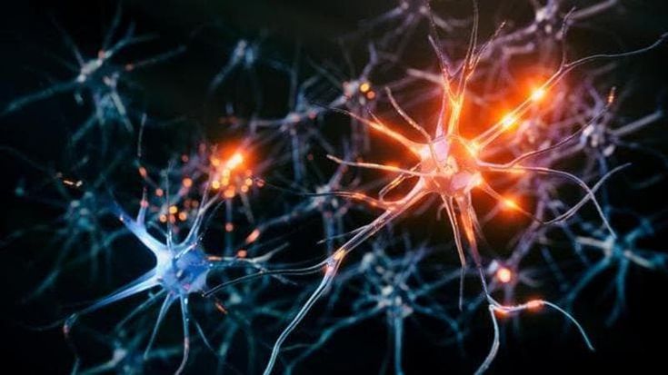 Una luce per il Parkinson: tecnologia con ultrasuoni può ridurre il tremore