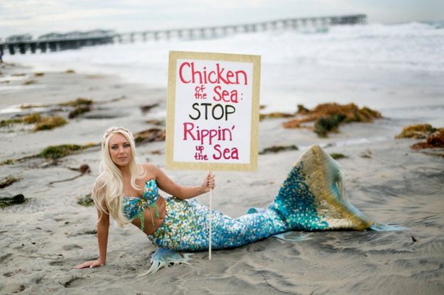 Greenpeace, dalla Thailandia all'Italia contro la pesca distruttiva del tonno 