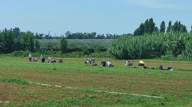 Incidenti sul lavoro, la strage continua: “In due mesi 11 morti”