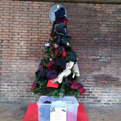 A Bologna l'albero di Natale fatto di sciarpe per i senzatetto. "Anche dolci per gli ultimi della città"