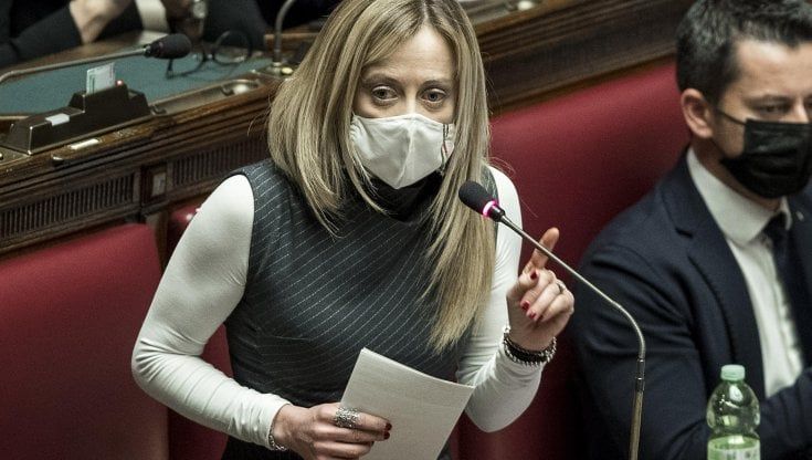 "Vacca, scrofa", docente universitario insulta Meloni in radio, poi si scusa. Lei: "Ringrazio Mattarella per la solidarietà"
