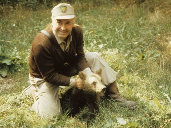 Morto l'orso Sandrino, mascotte del Parco Nazionale d'Abruzzo 