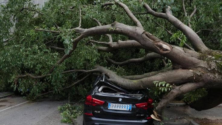 Addio al “maltempo”. Il mutamento climatico colpisce anche il vocabolario