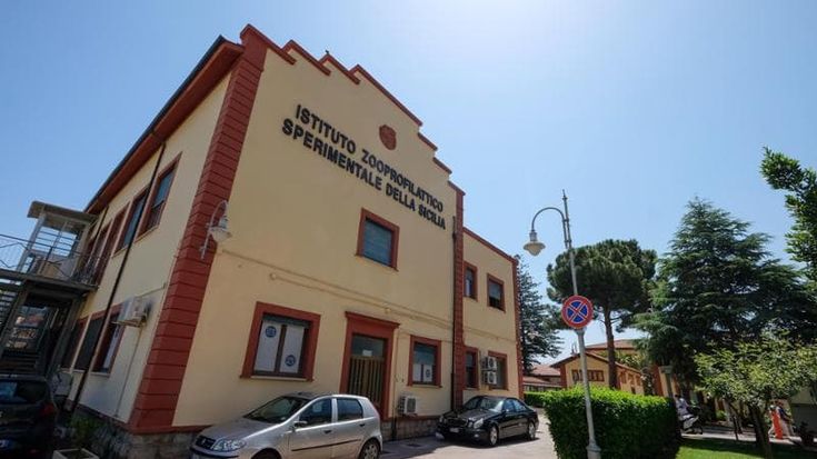 Materiali anticovid scaduti indagine allo Zooprofilattico. È scontro tra manager e cda