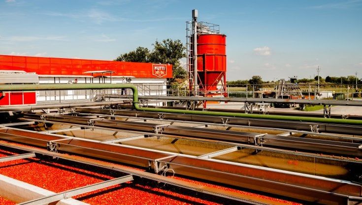 Campagna pomodoro 2021, Mutti cerca 1100 lavoratori stagionali
