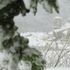 Italia nella morsa di neve, ghiaccio e vento: cinque vittime, quattro sono clochard