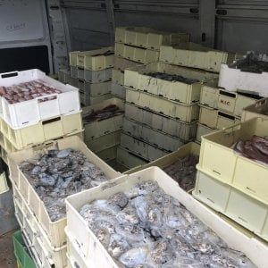 Bari, astici e triglie sequestrati sulla A14 e donati alle famiglie in difficoltà