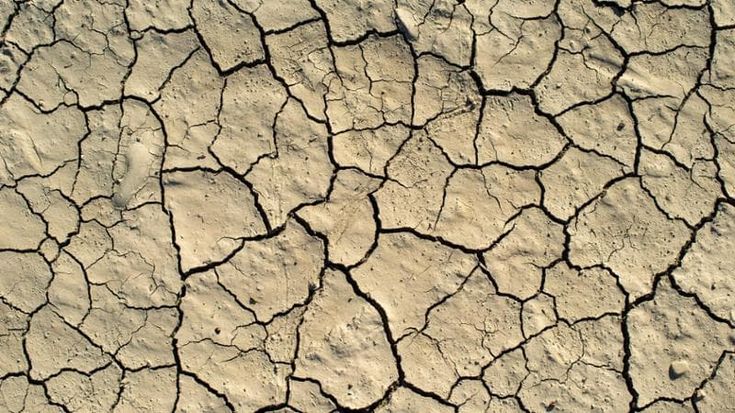 Siccità ed eventi estremi mettono in ginocchio l’agricoltura