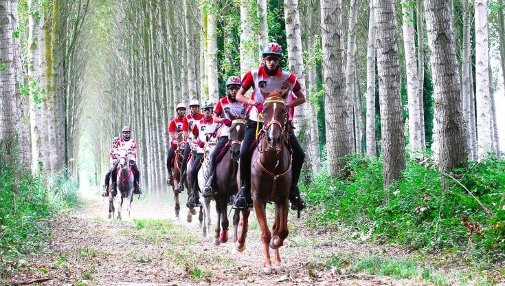 Equitazione, presentato il Mondiale Endurance in Toscana