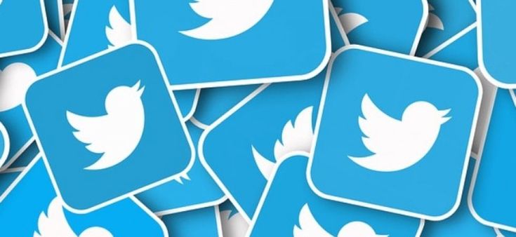 La prima sconfitta elettorale di Twitter (e di Salvini)