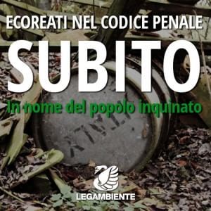 Ecoreati, le associazioni a Renzi: "Va approvato subito senza cambiare una virgola"