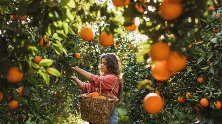 Qualità, storytelling, design e identità: il made in Italy alla prova dei trend del 2026