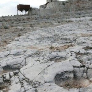 Cava dei dinosauri, dopo 14 anni via libera all&rsquo;esproprio