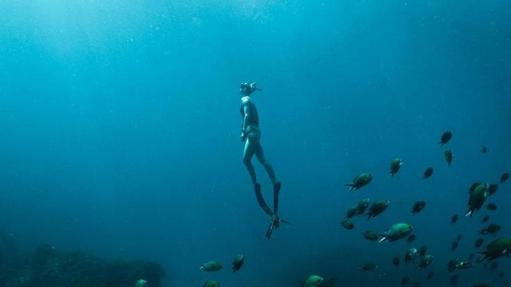 Neptune, percorsi subacquei accessibili e sostenibili