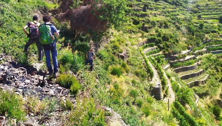 Cinque Terre, a lezione per fare i muretti a secco nel Patrimonio dell’Umanità