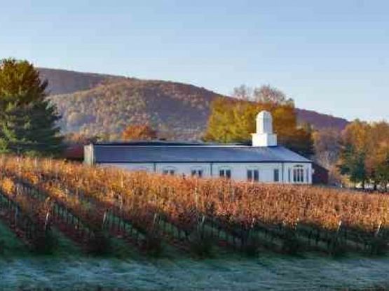 Far vino all&rsquo;italiana negli Usa <br />Paschina nella tenuta Zonin
