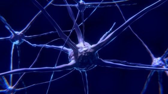 Più ricerca, meno burocrazia. Ecco il futuro degli studi sul cervello