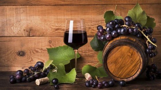 Qualità prima che quantità la filiera del vino un modello per l’agroalimentare made in Italy