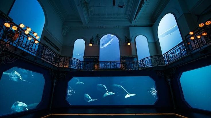 Un viaggio virtuale nel tempo nel Mediterraneo, la mostra al Museo Oceanografico di Monaco