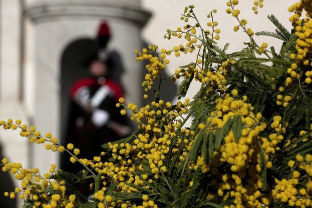 Quirinale, mimose in piazza per la festa della donna