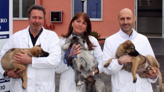 Milano: l'Ats apre le porte degli uffici a cani e gatti dei dipendenti