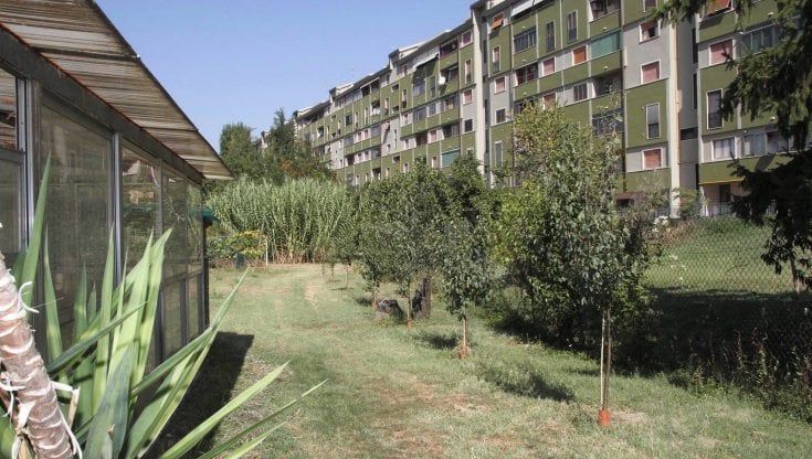 La Fattoria dei ragazzi diventa più grande 
