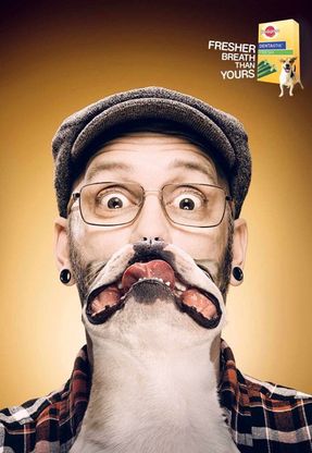 Animali come modelli, quando lo spot &egrave; a quattro zampe