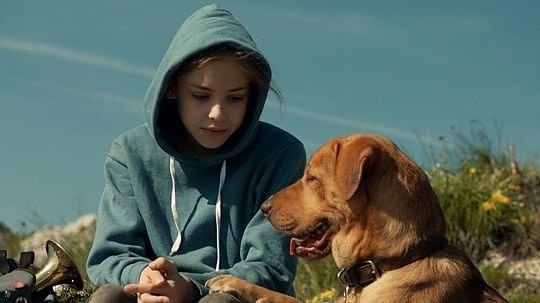 "White God", un'incredibile storia da cani