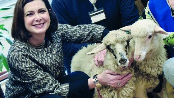 Da Berlusconi a Boldrini, la politica degli agnelli