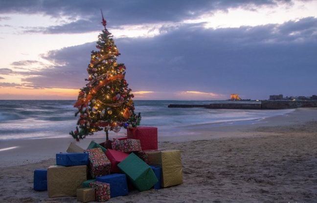 Salento, l'albero di Natale è in riva al mare 