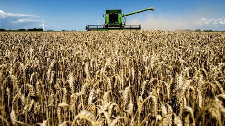 L’allarme dei produttori: “Boom dei prezzi dei fertilizzanti, la scelta sarà tra rincari e carestia”