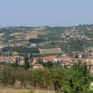 Rapina in villa a Dogliani, padrona di casa legata dai malviventi