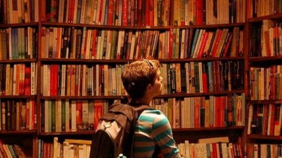 Letteratura, a ciascuno il suo classico: elenco (incompleto) di una libreria ideale
