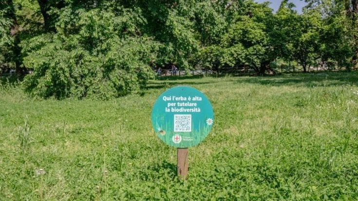 Erba alta nelle aree verdi, c’è un salto di qualità tra i Municipi e la Mm