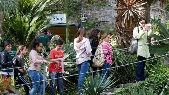 Giardini La Mortella, arriva la caccia al tesoro botanico