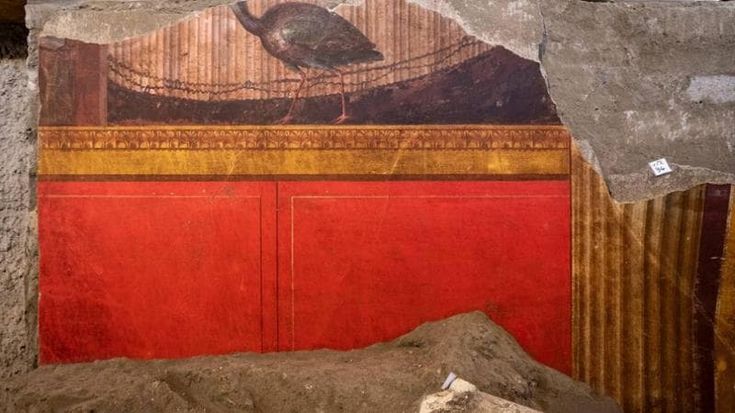 Villa di Poppea a Oplontis, il cantiere apre al pubblico: visitabile lo scavo con le nuove scoperte