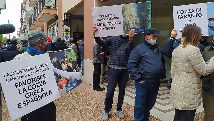 Taranto, la protesta dei mitilicoltori: "Concessioni demaniali aumentate da 400 a 2.700 euro". Rilanciata l'ipotesi del marchio